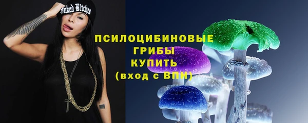 шишки Протвино