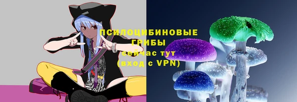 МДПВ Балабаново