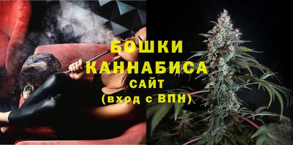 шишки Протвино
