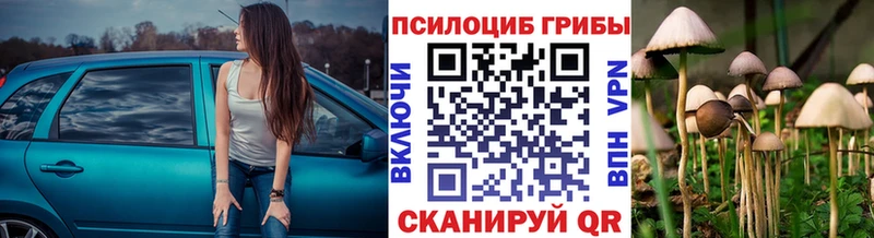 Псилоцибиновые грибы прущие грибы цены Давлеканово